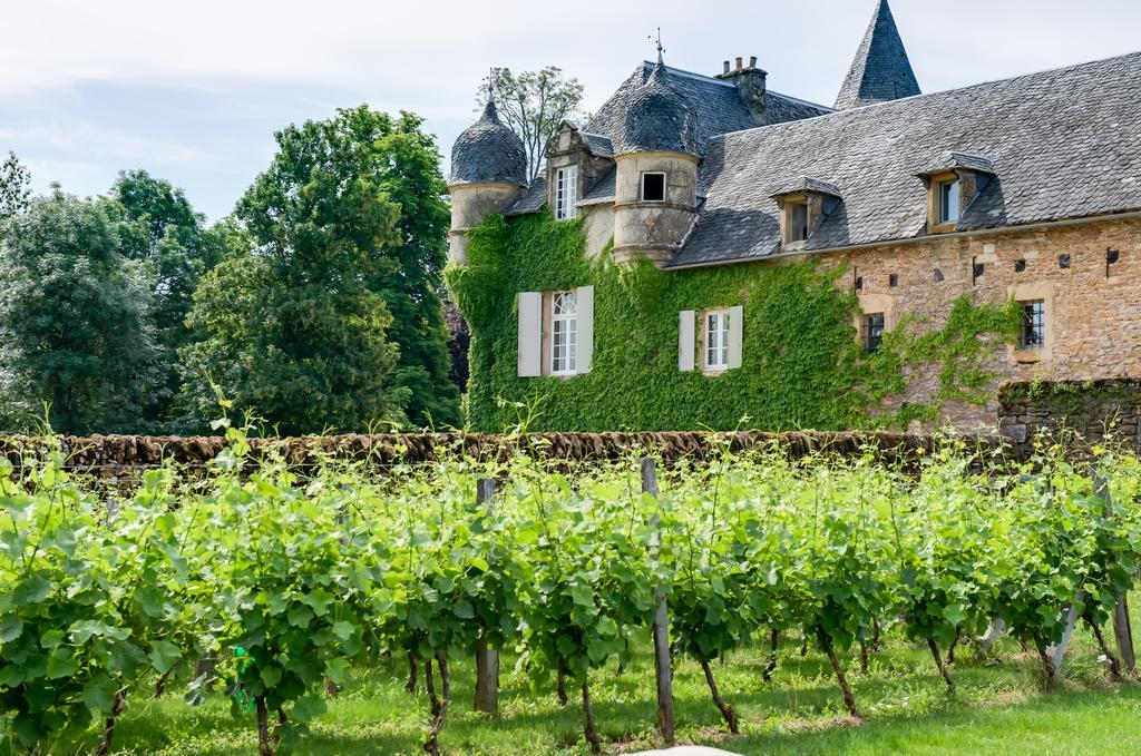 Chateau De Labro - Teritoria Onet-le-Château Eksteriør bilde
